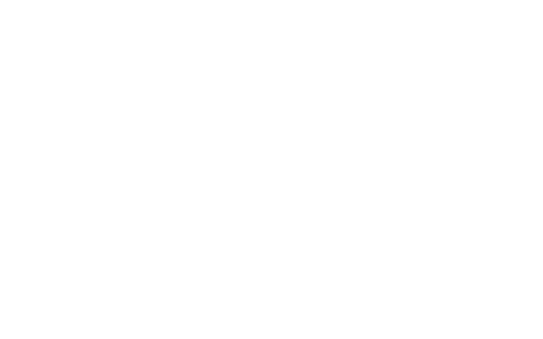 MW Logo_Transparent